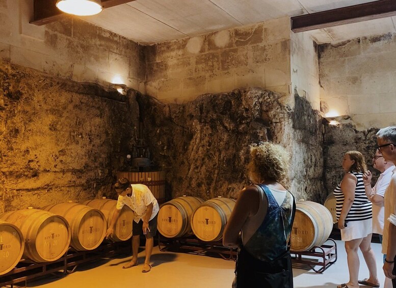 Picture 4 for Activity Ciutadella de Menorca: Family Winery Tour with Wine Tasting