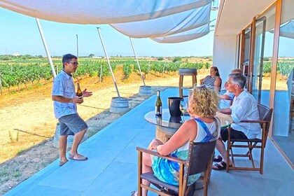 Ciutadella de Menorca: Family Winery Tour with Wine Tasting