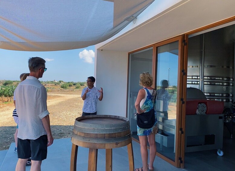 Picture 3 for Activity Ciutadella de Menorca: Family Winery Tour with Wine Tasting