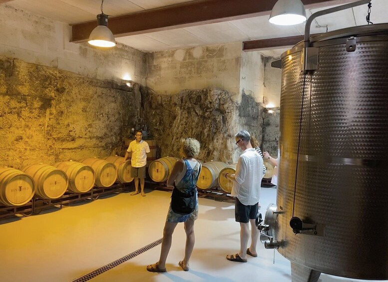 Picture 2 for Activity Ciutadella de Menorca: Family Winery Tour with Wine Tasting