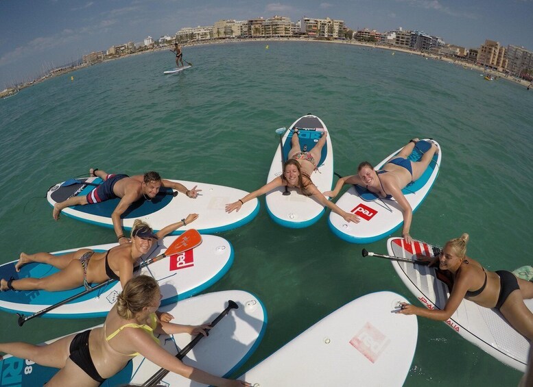 Picture 20 for Activity Ca'n Pastilla Playa Palma: 1 hour SUP board rental