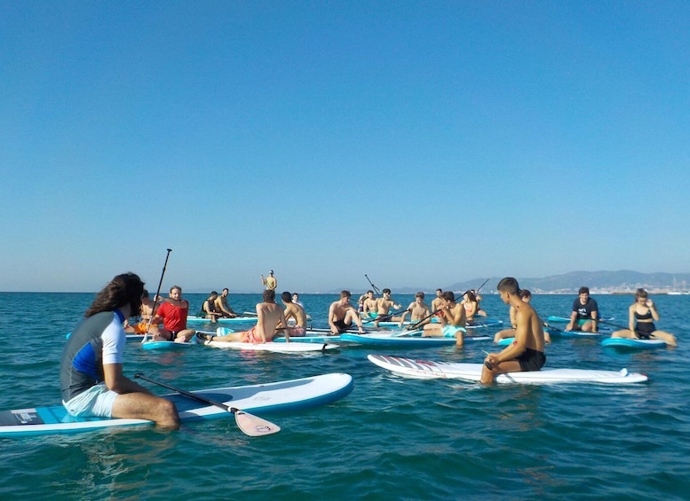 Picture 6 for Activity Ca'n Pastilla Playa Palma: 1 hour SUP board rental