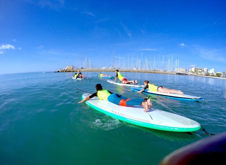 Picture 16 for Activity Ca'n Pastilla Playa Palma: 1 hour SUP board rental