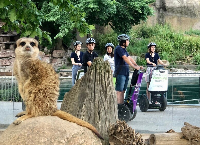 Picture 14 for Activity Karlsruhe: Unique Private Early Bird Segway Tour Zoo