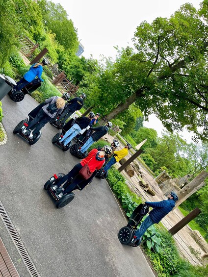 Picture 29 for Activity Karlsruhe: Unique Private Early Bird Segway Tour Zoo