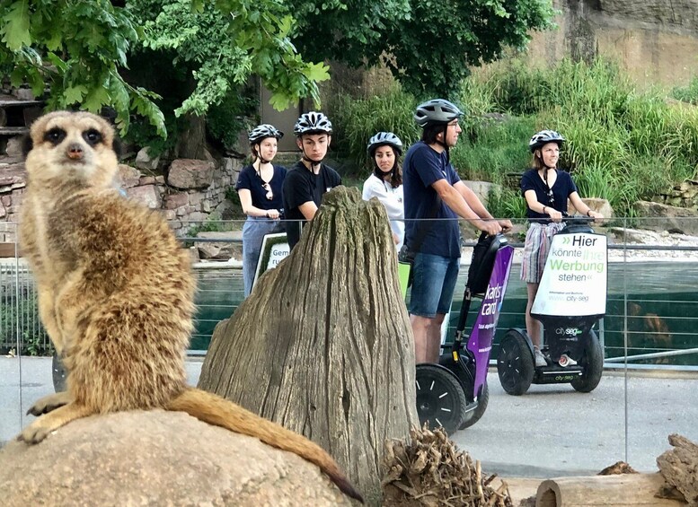 Picture 14 for Activity Karlsruhe: Unique Private Early Bird Segway Tour Zoo