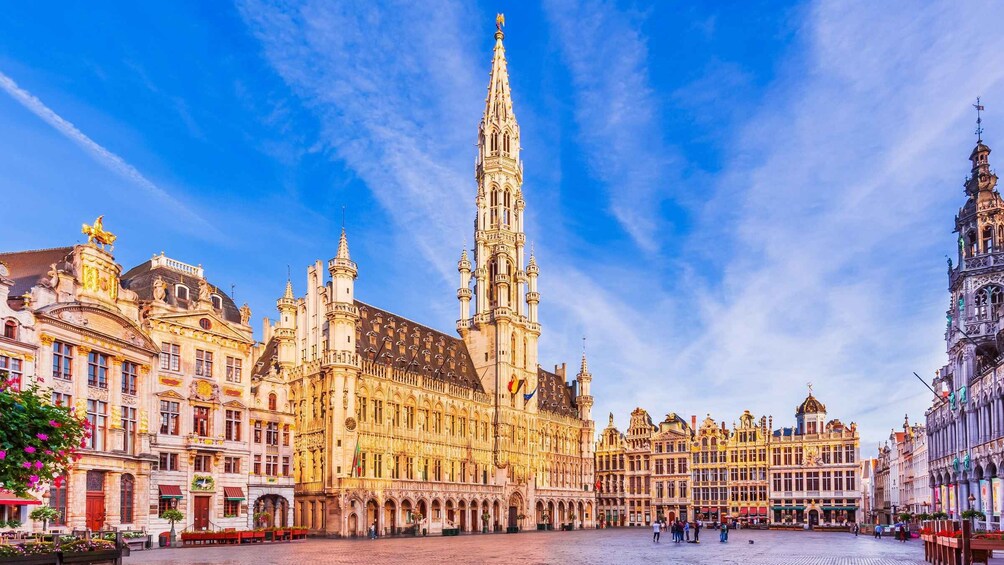 Picture 1 for Activity Brussels: Private Historical Highlights Walking Tour