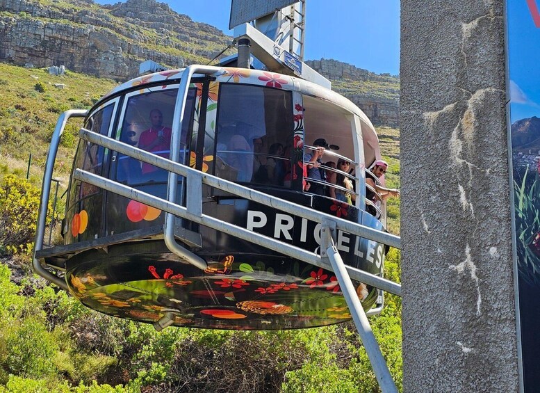 Cape Town: Table MT, Cape point & Penguins Instagram shared
