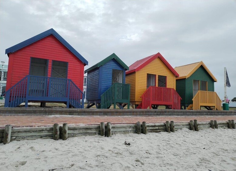 Picture 3 for Activity Cape Town: Table MT, Cape point & Penguins Instagram shared