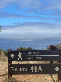 Cape Town: Table Mountatin & Robben Island Day Tour