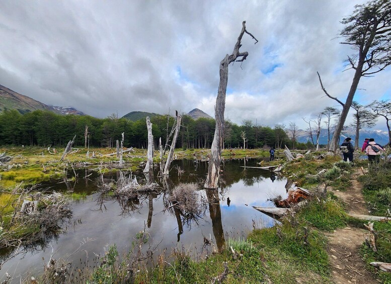 Picture 1 for Activity From Ushuaia: Tierra del Fuego Emerald Lagoon Trekking Tour