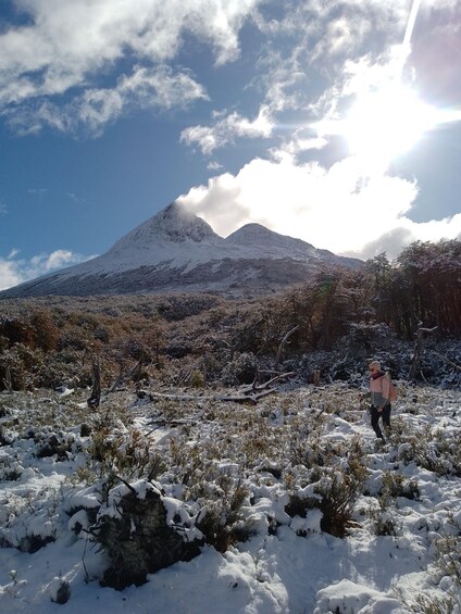 Picture 3 for Activity From Ushuaia: Tierra del Fuego Emerald Lagoon Trekking Tour