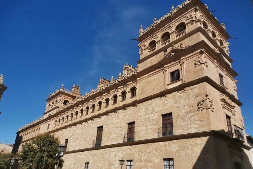 Picture 2 for Activity Salamanca: Guided Sightseeing Tour by Bicycle