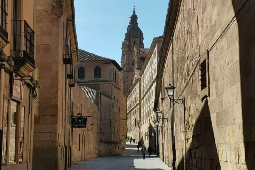 Picture 5 for Activity Salamanca: Guided Sightseeing Tour by Bicycle