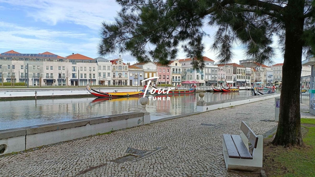 Picture 14 for Activity Lisbon: To Porto, Day Trip & Transfer with Stops in 3 Cities