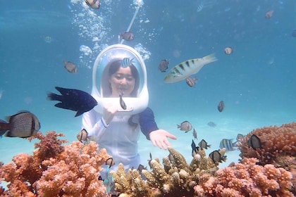 Boracay: Oplevelse af hjelmdykning med fotos og videoer