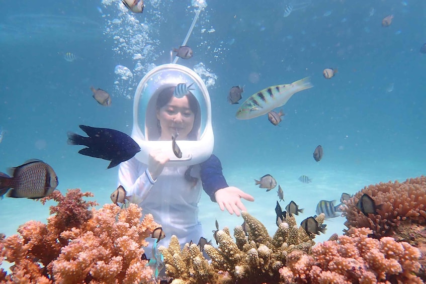 Boracay: Helmet Diving Experience with Photos and Videos