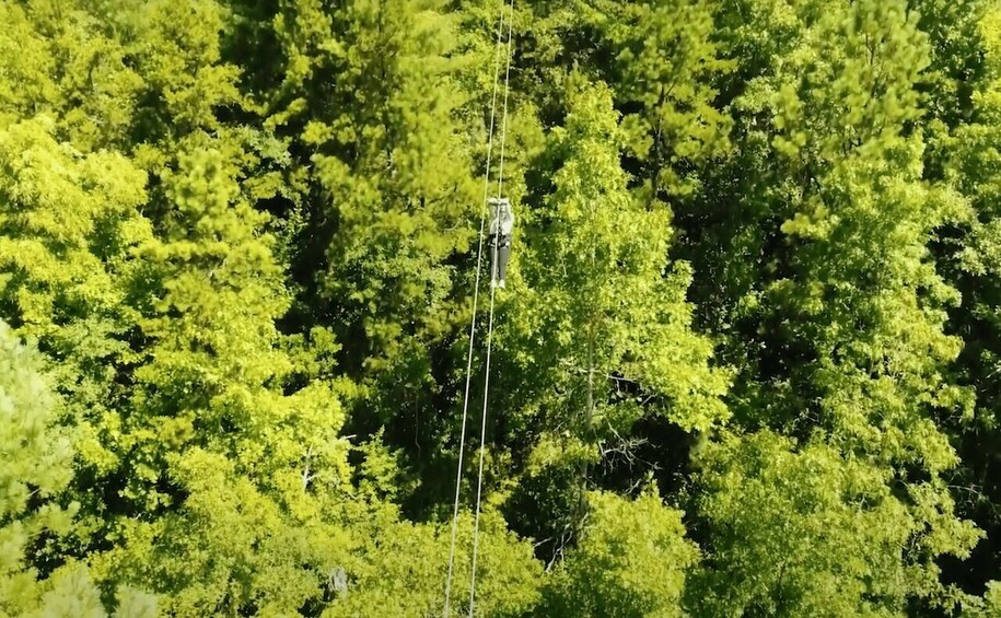 Picture 4 for Activity Bryson City: Mountaintop Zip Line Experience