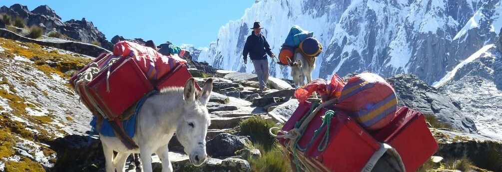 From Huaraz || Trekking Santa Cruz-Llanganuco 4Days /3 Night