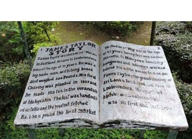 Aus Kandy: James Taylors Tee-Tour (Die Geschichte des Ceylon-Tees)