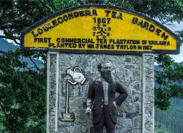 From Kandy: James Taylor’s Tea Tour (The Tale of Ceylon Tea)