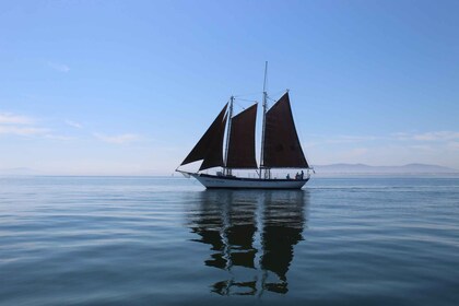 Cape Town: 1 Hour Table Bay Sailing Tour