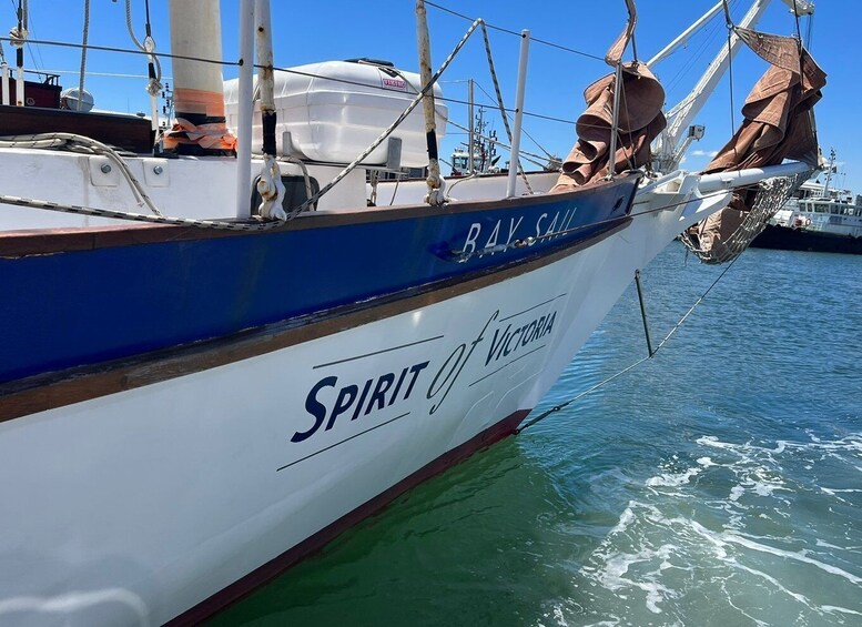 Picture 2 for Activity Cape Town: 1 Hour Table Bay Sailing Tour