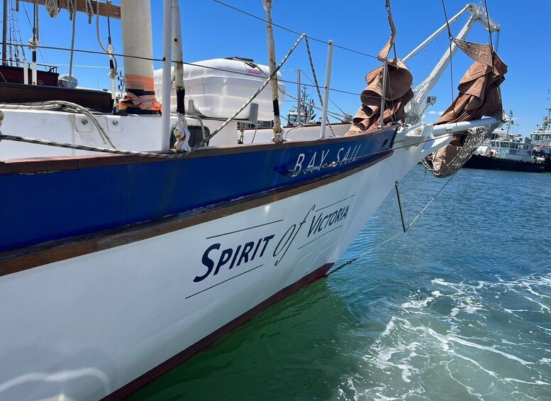 Picture 2 for Activity Cape Town: 1 Hour Table Bay Sailing Tour