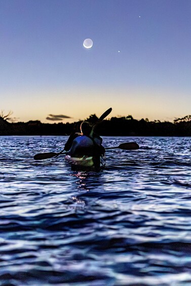 Picture 1 for Activity Auckland: Bioluminescence Kayak Tour