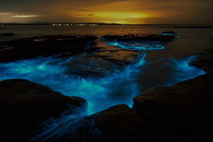 Picture 5 for Activity Auckland: Bioluminescence Kayak Tour