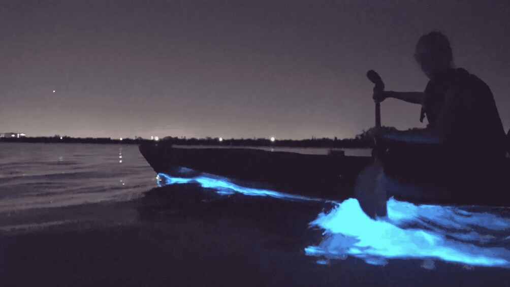 Auckland: Bioluminescence Kayak Tour