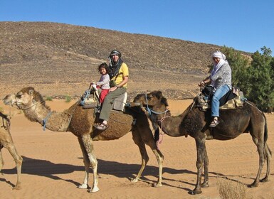 Agadir: Camel Riding Adventure with Authentic Moroccan Lunch