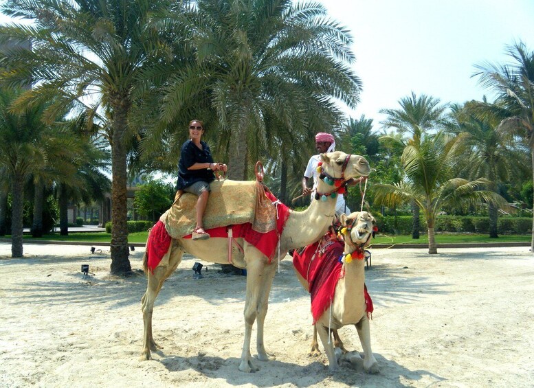 Picture 4 for Activity Agadir: Camel Riding Adventure with Authentic Moroccan Lunch