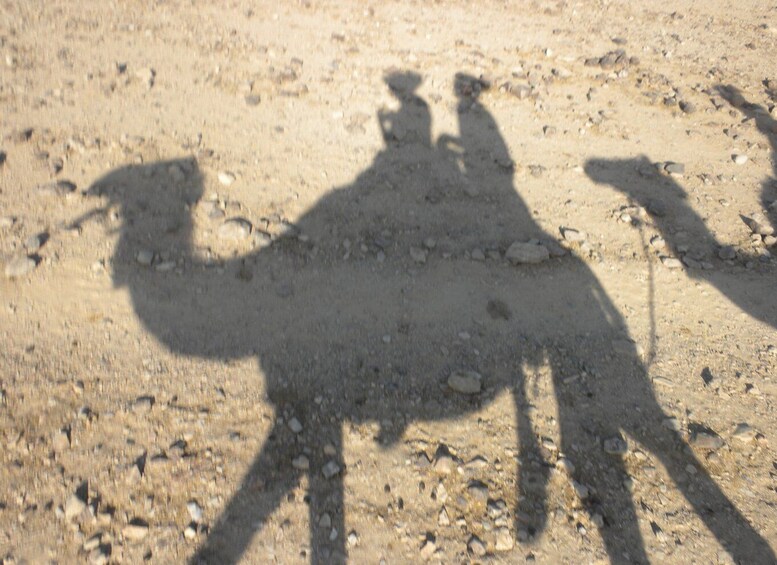 Agadir: Camel Riding Adventure with Authentic Moroccan Lunch