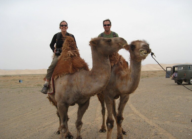 Picture 2 for Activity Agadir: Camel Riding Adventure with Authentic Moroccan Lunch