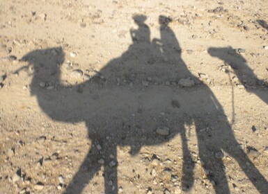 Agadir: Camel Riding Adventure with Authentic Moroccan Lunch