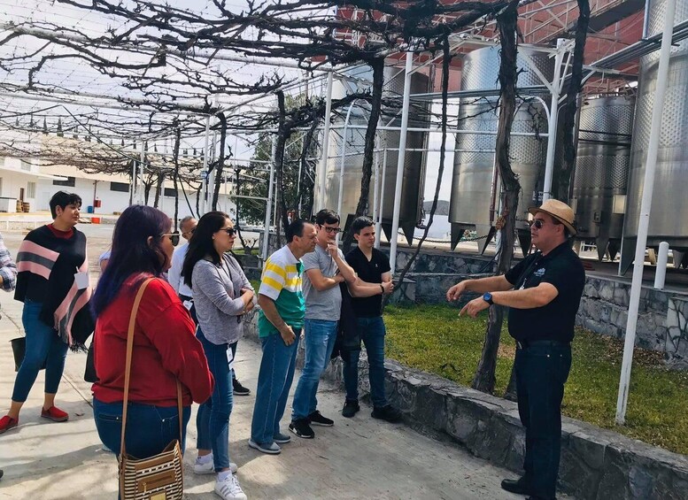 Picture 11 for Activity Tour "Parras de la Fuente", with guide, transfer and tickets