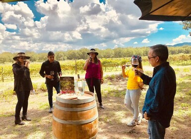 Tour "Parras de la Fuente", with guide, transfer and tickets