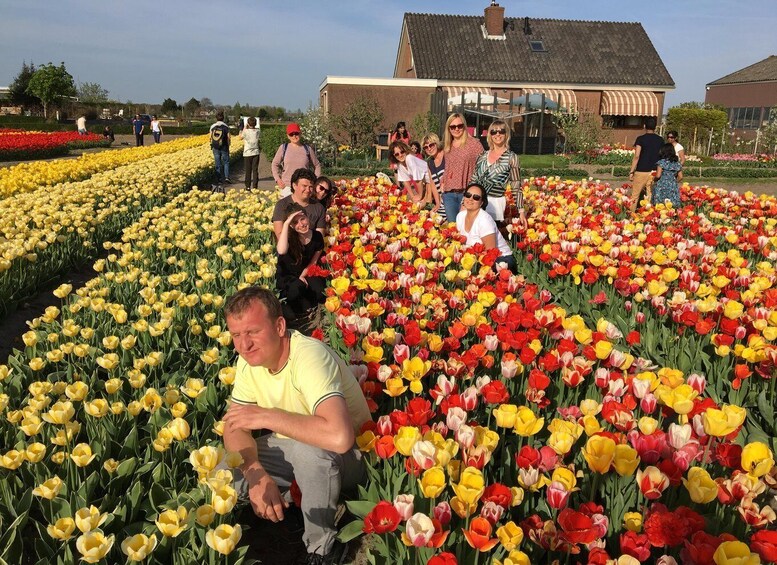 Picture 6 for Activity Your Own Holland. Keukenhof's Tulip Paradise