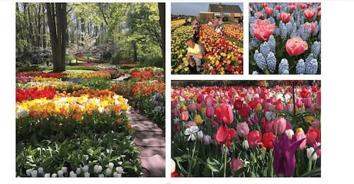 Your Own Holland. Keukenhof's Tulip Paradise