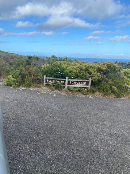 Picture 2 for Activity Cape Town: Cape Point Mountain Bike Rental with Route