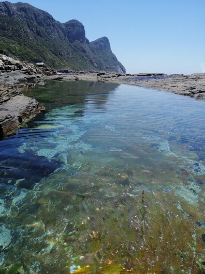 Picture 4 for Activity Cape Town: Cape Point Mountain Bike Rental with Route