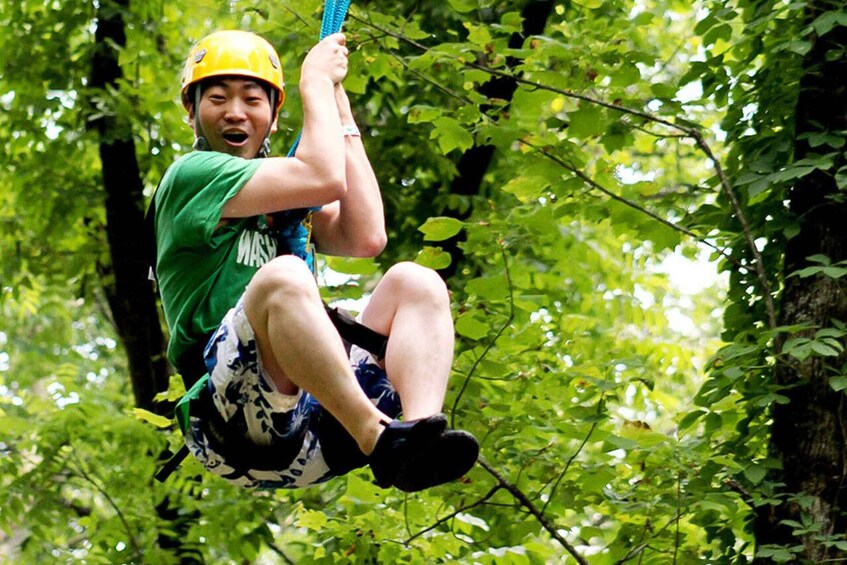 Picture 5 for Activity Gatlinburg: Zipline Canopy Tour