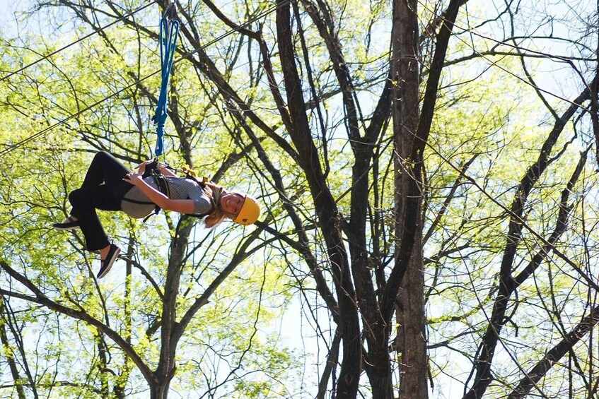 Picture 2 for Activity Gatlinburg: Zipline Canopy Tour