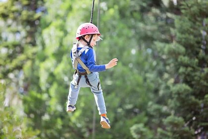 Gatlinburg: Zipline Canopy Tour