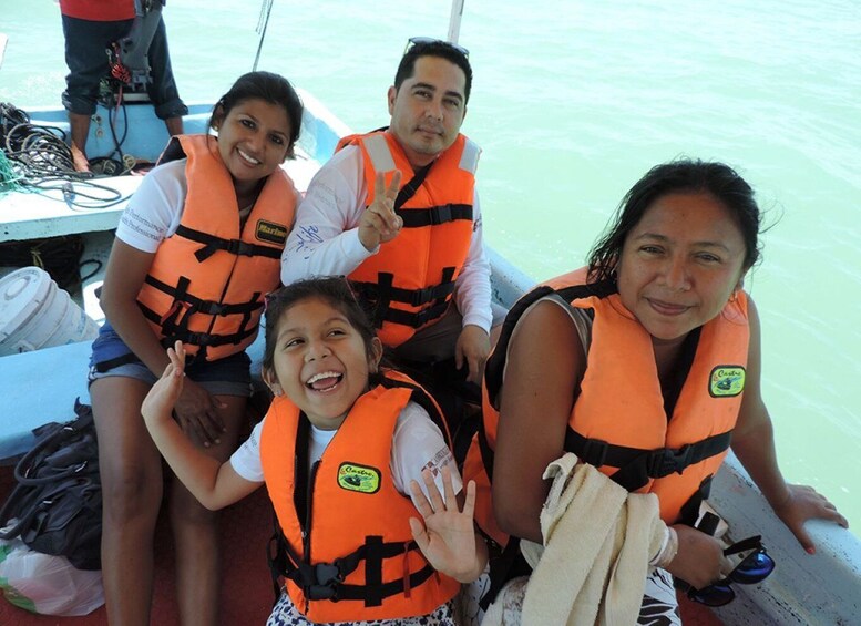 Picture 3 for Activity From Campeche: Isla Aguada Dolphin Encounter Tour