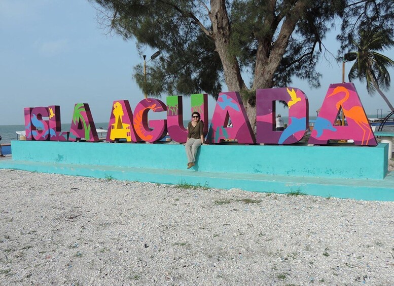 From Campeche: Isla Aguada Dolphin Encounter Tour