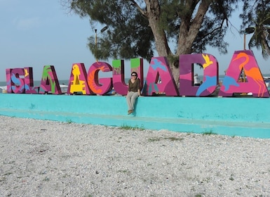 From Campeche: Isla Aguada Dolphin Encounter Tour