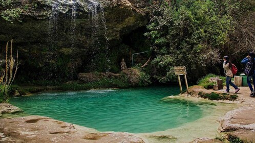 Excursion d'une journée à Sayan et Churin