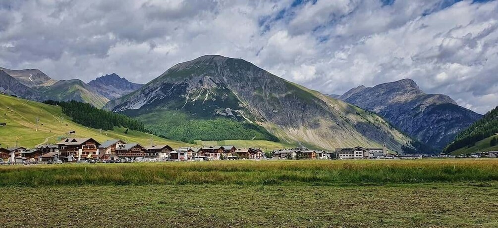 Picture 5 for Activity Valtellina valley, vineyards and Bormio Thermal springs